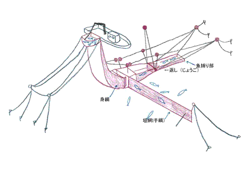 底建て網