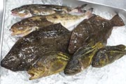 超激安！大容量！訳あり＜冷凍＞鮮魚セット3～4種2.8～3.2kg