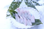 北海道産、特大八角(ハッカク)の刺身