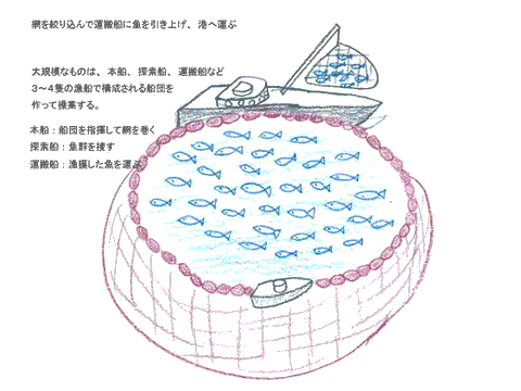 まき網2