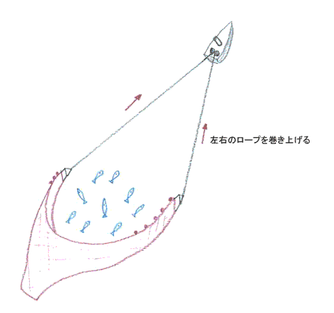 底引き網（かけまわし漁法）2