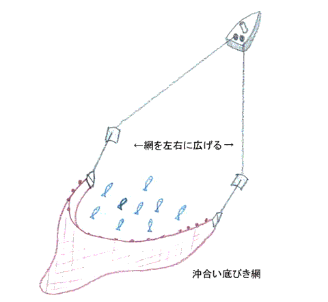 底引き網（オッタートロール）