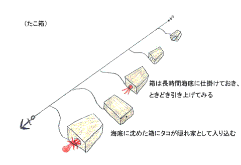 箱