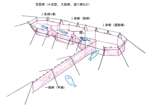 定置網