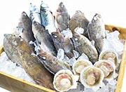 超激安！大容量！訳あり＜冷凍＞鮮魚セット4～5種4～4.5kg