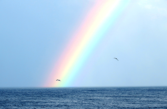 海に掛かる虹