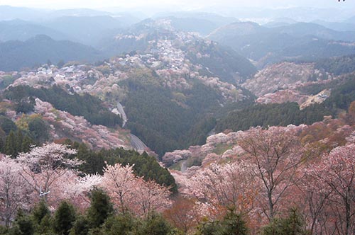 吉野山の奥千本から撮影